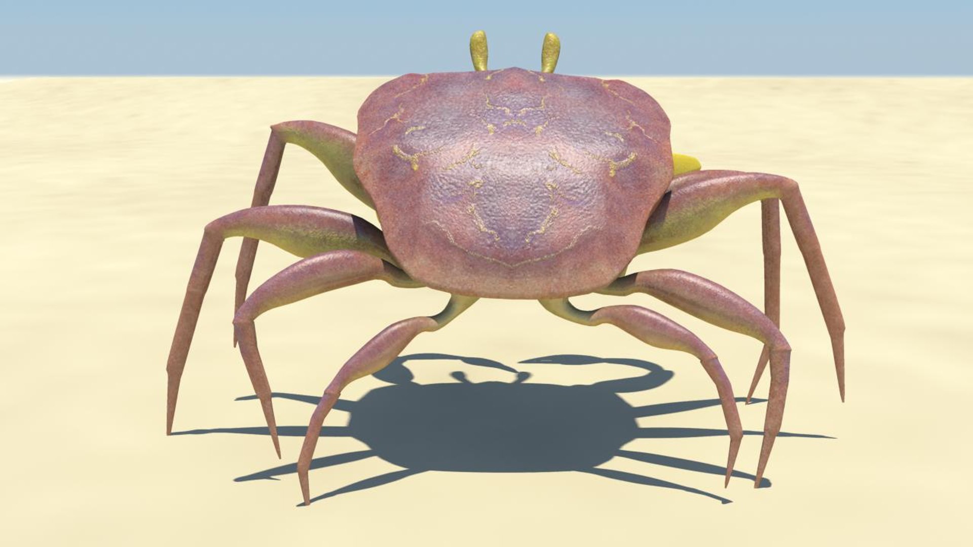 maya crab rigged animation https://p.turbosquid.com/ts-thumb/z7/R2PQmy/fZwsV4Jp/crab_turntable34/jpg/1413156330/1920x1080/fit_q87/56e1027951c71e635c4ff2d4adce35c9402608ef/crab_turntable34.jpg