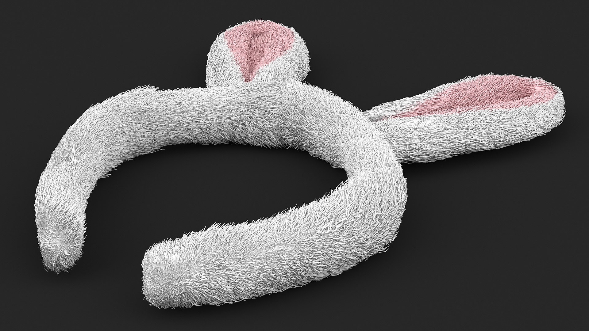 3D Bunny Ears Headband Fur https://p.turbosquid.com/ts-thumb/z7/Rtq34v/LO/bunnyearsheadbandfur3dmodel008/jpg/1696580387/1920x1080/fit_q87/72452aae628b3c86fdada75a74a08c58d2841c94/bunnyearsheadbandfur3dmodel008.jpg