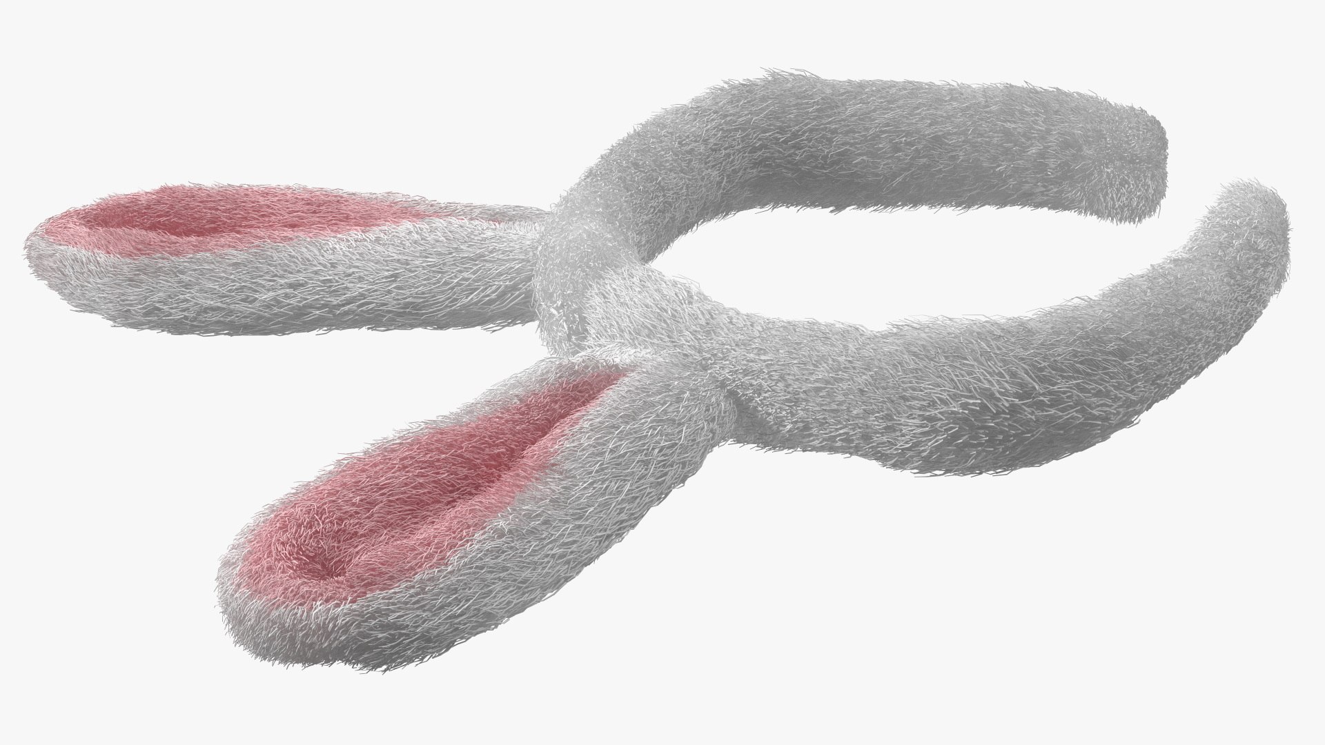 3D Bunny Ears Headband Fur https://p.turbosquid.com/ts-thumb/z7/Rtq34v/vX/bunnyearsheadbandfur3dmodel013/jpg/1696580406/1920x1080/fit_q87/9e0ea5132882f699a2ca9d1c40b111f46e9d7b8a/bunnyearsheadbandfur3dmodel013.jpg