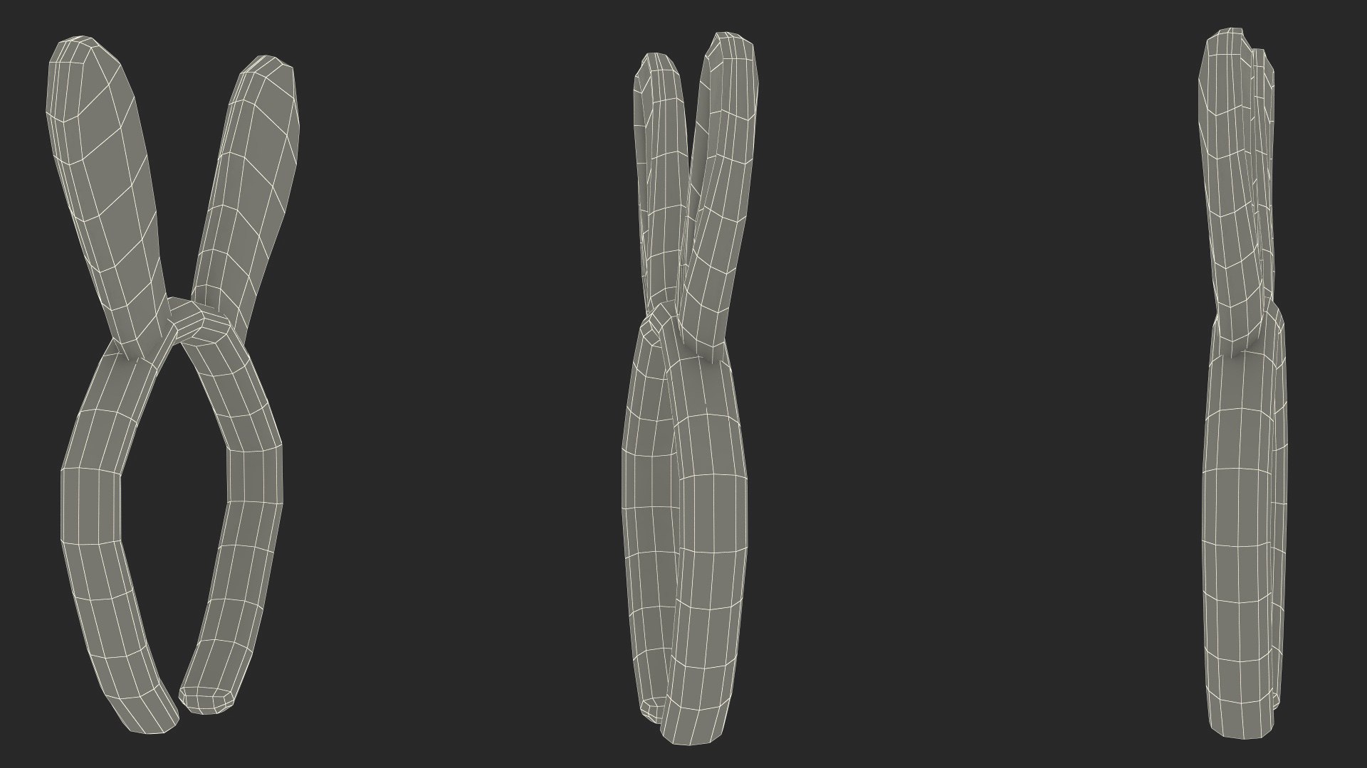 3D Bunny Ears Headband Fur https://p.turbosquid.com/ts-thumb/z7/Rtq34v/wj/bunnyearsheadbandfur3dmodel023/jpg/1696580447/1920x1080/fit_q87/61ae6d5339bee5676de822027de674d0d182a3ab/bunnyearsheadbandfur3dmodel023.jpg