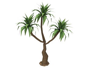 medium palm tree