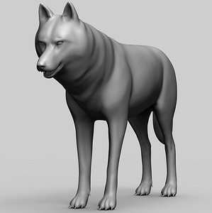 wolf basemesh sculpting 3D model