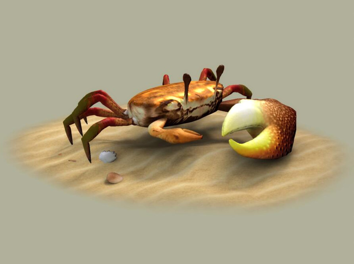 fiddler crabs hai river 3D model https://p.turbosquid.com/ts-thumb/z7/g0gfBZ/1hbrNE2a/004/jpg/1593093391/1920x1080/fit_q87/f8d955076f4c3b1442495ac6a0fb5ce32d7e3a93/004.jpg