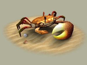 fiddler crabs hai river 3D model