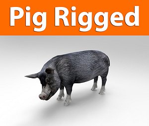 pig rigged(1)