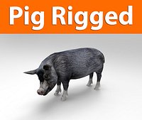 pig rigged(1)