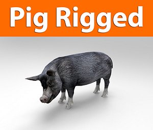 pig rigged(1)