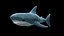 3D Stuffed Toy Shark IKEA Blahaj Rigged PBR