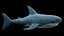 3D Stuffed Toy Shark IKEA Blahaj Rigged PBR