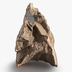 3D Essential Scanned Rock 20 StemCell model