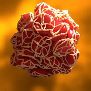 Aggregated Erythrocytes Coagulation High Res