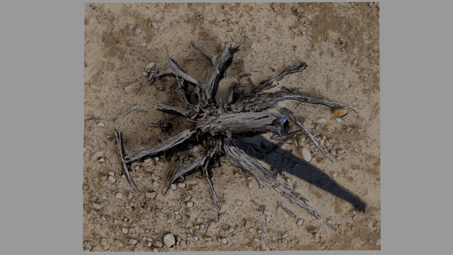 3D model Dead Tree 018 https://p.turbosquid.com/ts-thumb/z8/3ERkf5/A4/deadtree_18_diffuse_0010/jpg/1741555712/1920x1080/fit_q87/4d349ac40db2a017069bb2c63f836ee380b695b6/deadtree_18_diffuse_0010.jpg