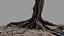 Toter Baum 018