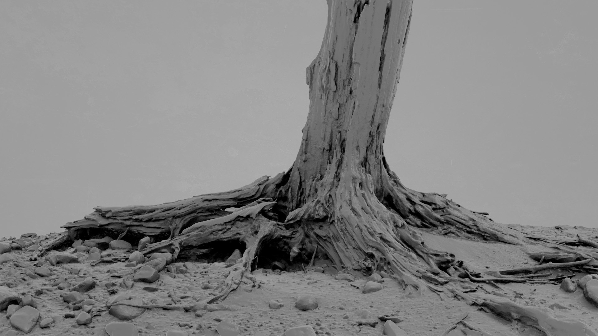 3D model Dead Tree 018 https://p.turbosquid.com/ts-thumb/z8/3ERkf5/Kb/deadtree_18_greyscale_.jpg0008/jpg/1741555716/1920x1080/fit_q87/686146c948530671c7e89dd7b632527e805ecf07/deadtree_18_greyscale_.jpg0008.jpg