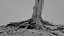 Toter Baum 018