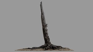 Dead Tree 018