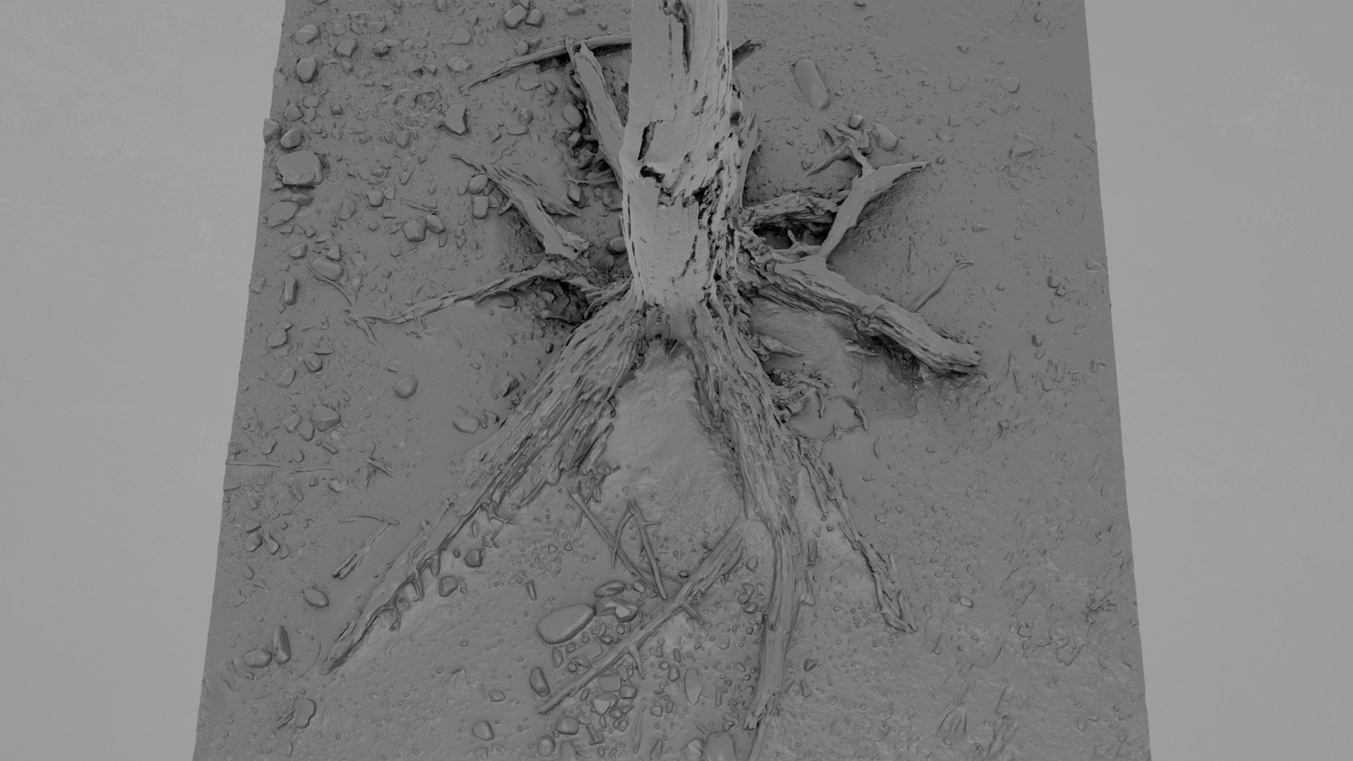 3D model Dead Tree 018 https://p.turbosquid.com/ts-thumb/z8/3ERkf5/eR/deadtree_18_greyscale_.jpg0007/jpg/1741555715/1920x1080/fit_q87/a10890faf0a3621b89939496f8297b33c3796cf4/deadtree_18_greyscale_.jpg0007.jpg