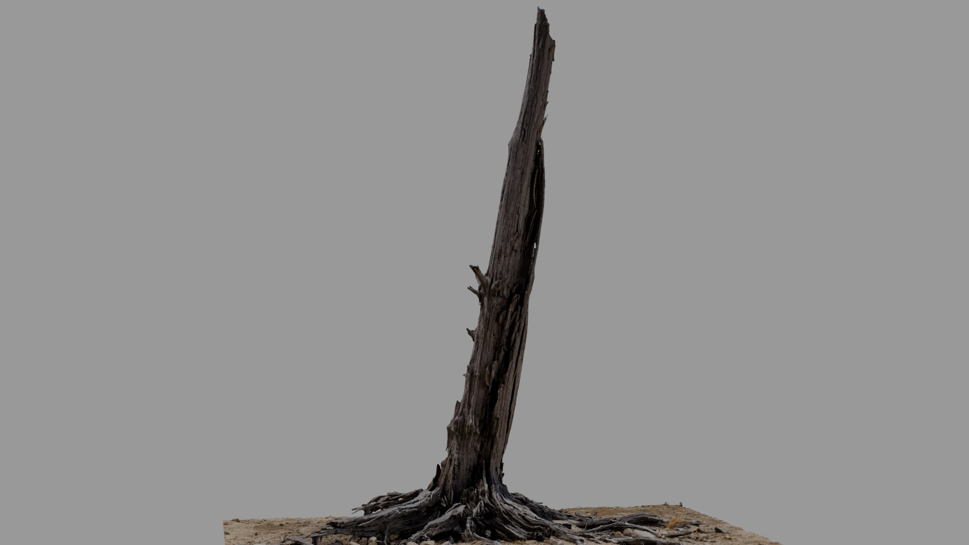 3D model Dead Tree 018 https://p.turbosquid.com/ts-thumb/z8/3ERkf5/h1/deadtree_18_diffuse_0004/jpg/1741555709/1920x1080/fit_q87/f2662227e2526d76794658a80f1db3ea2c81503c/deadtree_18_diffuse_0004.jpg