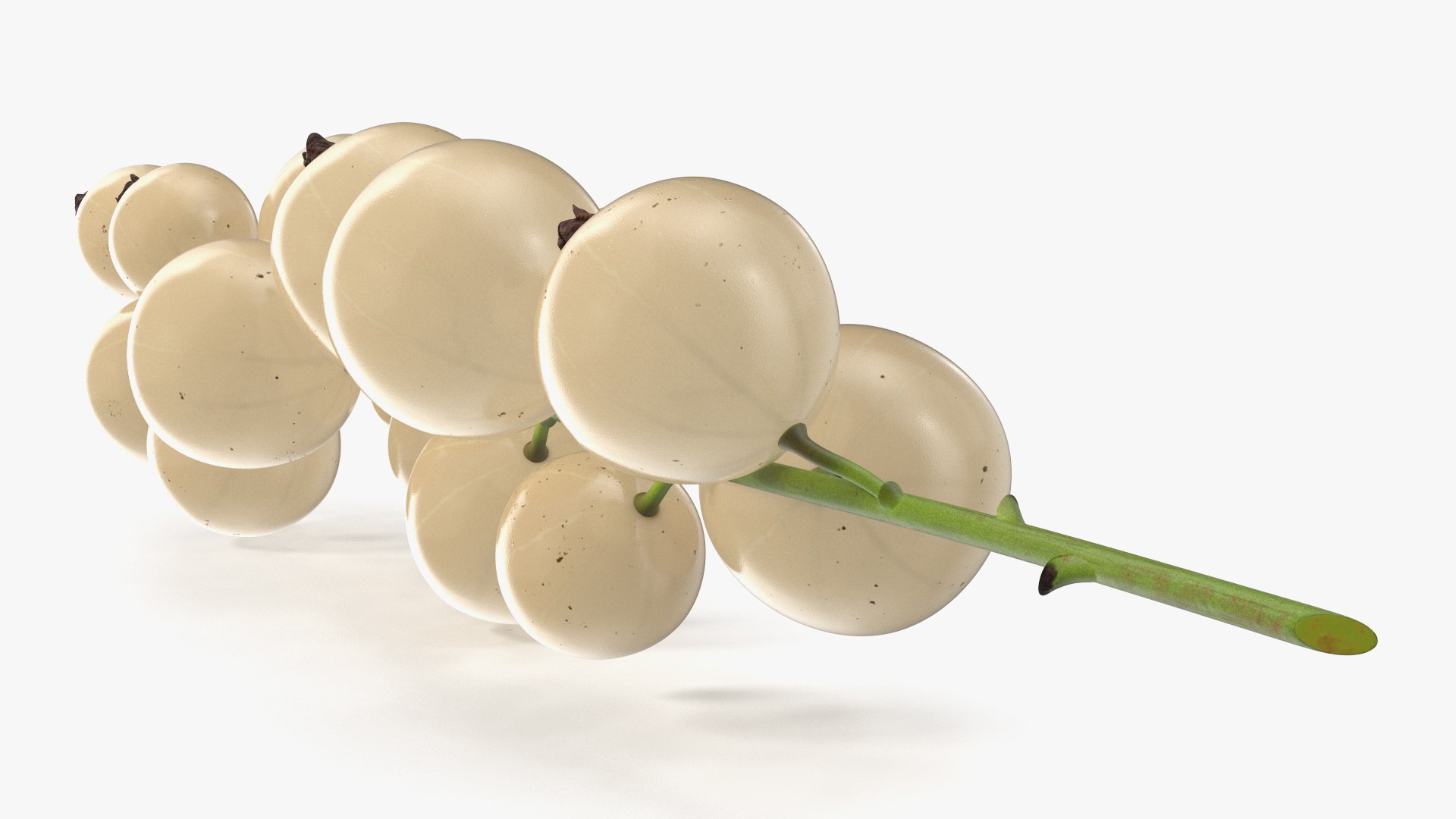 3D Model White Currant Berry Cluster - TurboSquid 2295980
