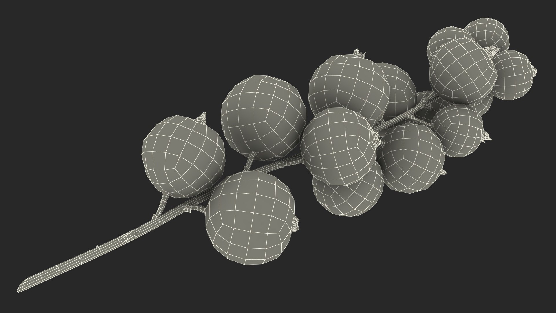 3D Model White Currant Berry Cluster - TurboSquid 2295980