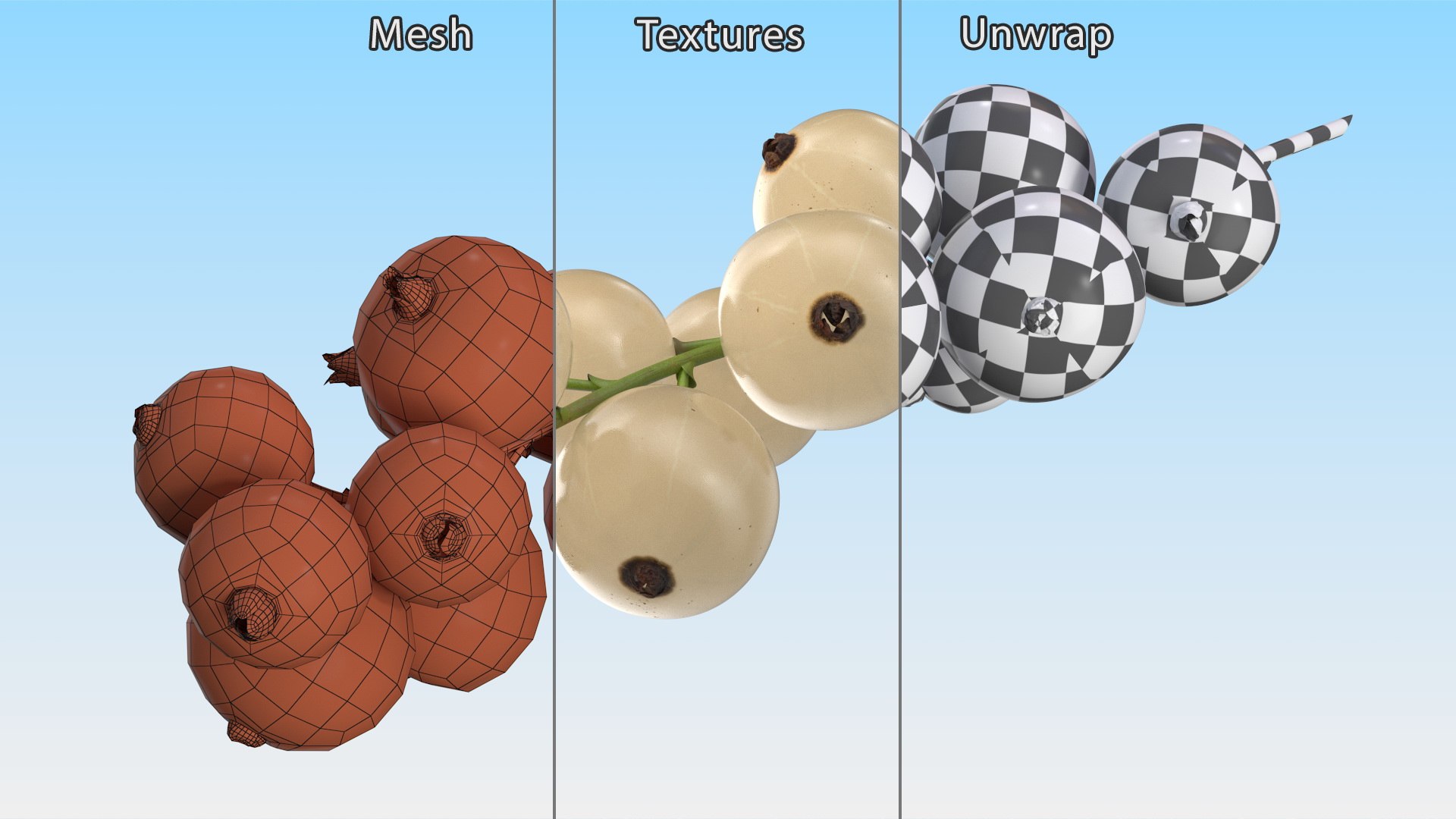 3D Model White Currant Berry Cluster - TurboSquid 2295980