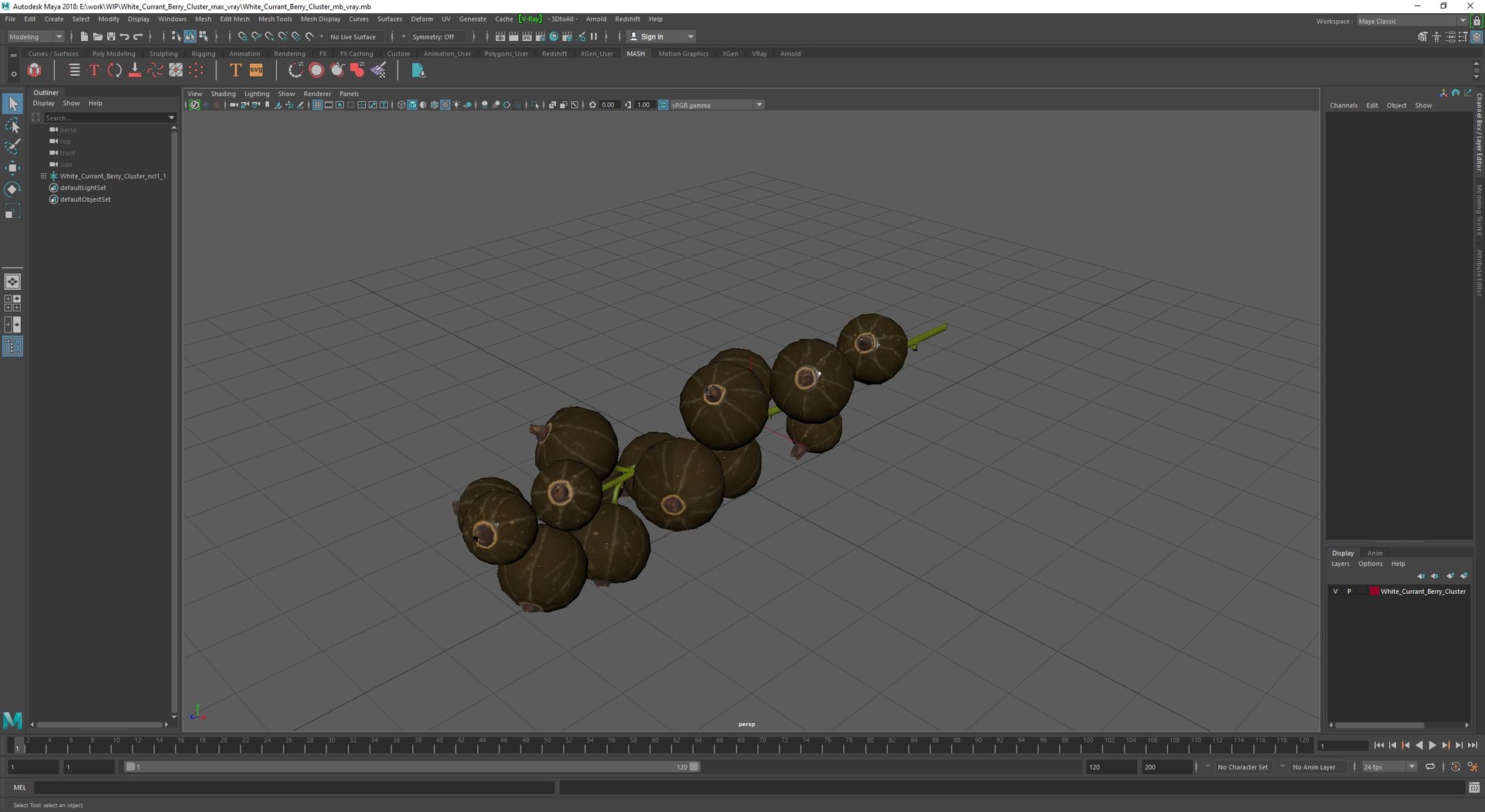3D Model White Currant Berry Cluster - TurboSquid 2295980