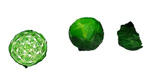 3D cabbage food vegetable