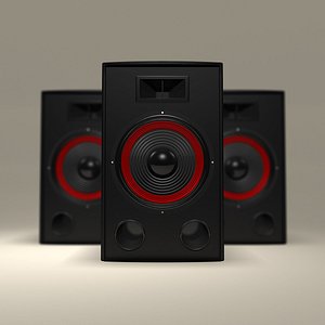 Professional Speaker