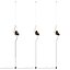 Cattelan Italia Tramonto 吸顶灯