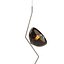 Cattelan Italia Tramonto 吸顶灯