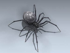 black widow spider 3d model