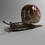 snail 01