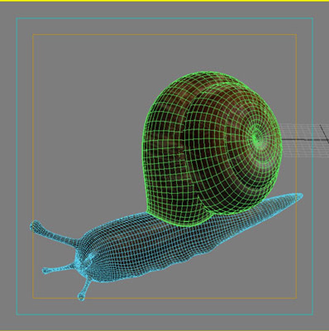 snail slug 3d model https://p.turbosquid.com/ts-thumb/z8/WsqKWS/Dinb0w53/09/jpg/1241524004/1920x1080/fit_q87/d8ce025edbcb62904ace4c071f69aca8bf9d3c01/09.jpg
