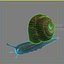 snail 01