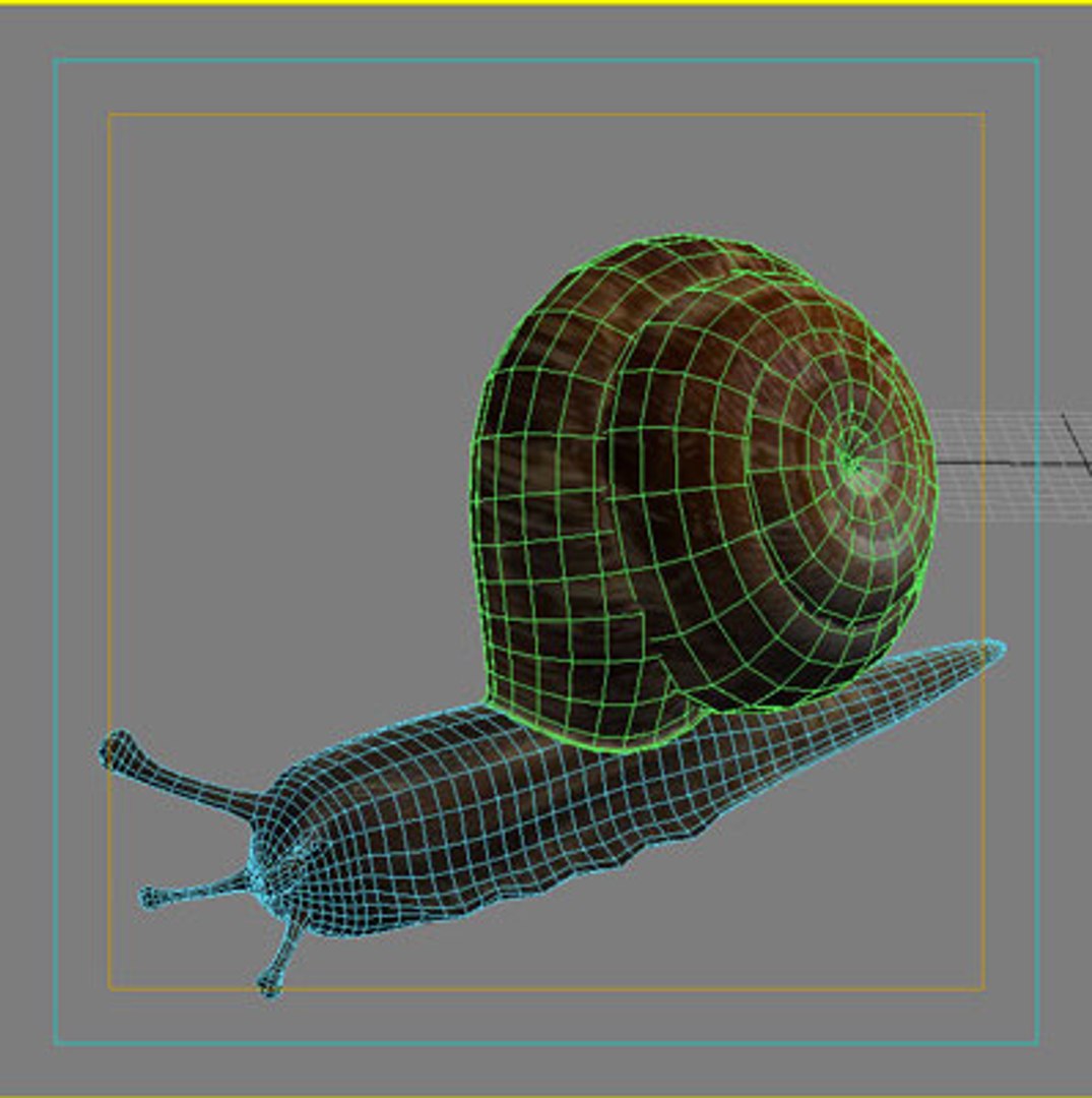 snail slug 3d model https://p.turbosquid.com/ts-thumb/z8/WsqKWS/GNIUPYv5/08/jpg/1241523998/1920x1080/fit_q87/61efbcdf5e6066793c40ff3020582de85a46be9a/08.jpg