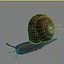 snail 01