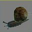 snail 01