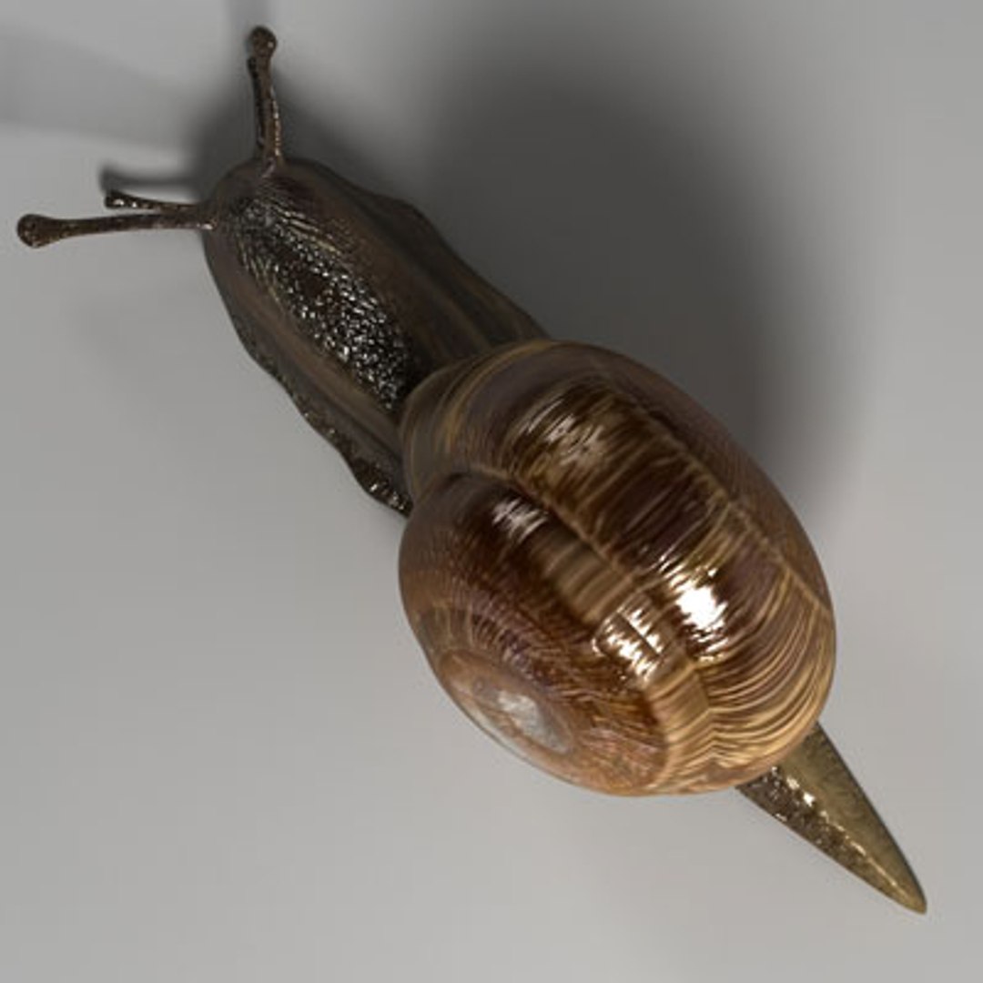 snail slug 3d model https://p.turbosquid.com/ts-thumb/z8/WsqKWS/XUjMZa15/04/jpg/1241523954/1920x1080/fit_q87/7a2894673b11d67fe07f227ef9fe26fd35d4f504/04.jpg