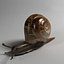 snail 01