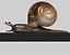 snail 01