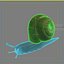 snail 01