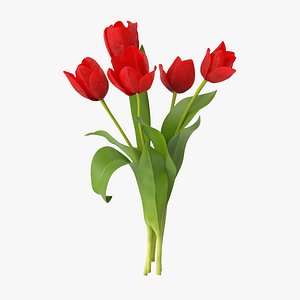 3d red tulips bouquet -