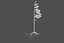 Pine Tree 4