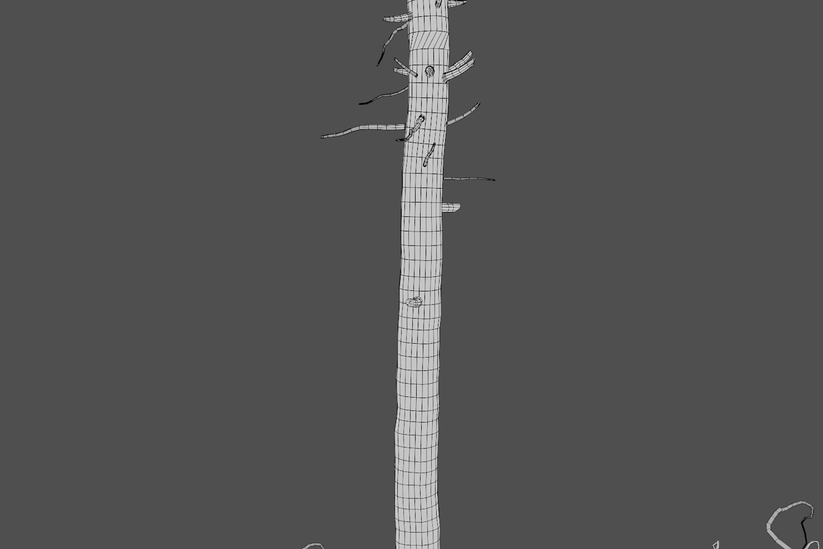 pine tree 4 model https://p.turbosquid.com/ts-thumb/z8/bvxjOy/CF484yzx/wire6/png/1545142134/1920x1080/fit_q87/7553b54ce0b59da91c6651ae288f7cd8e0a8da37/wire6.jpg