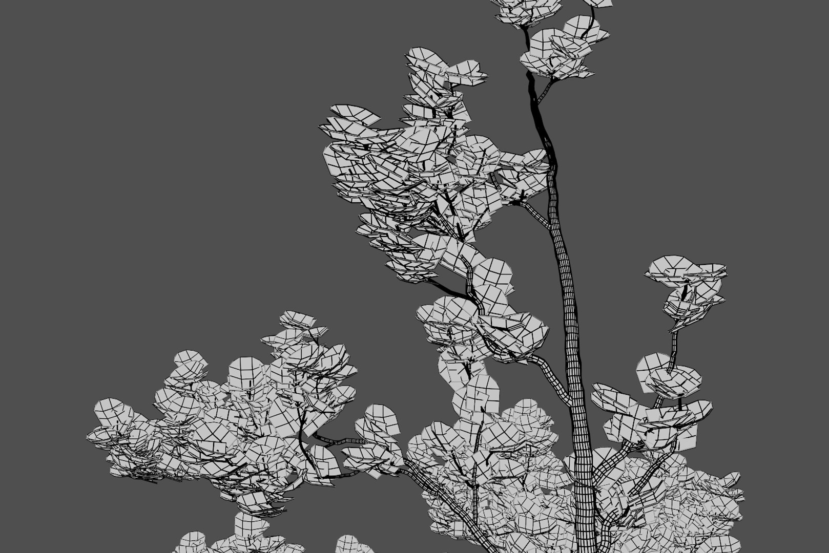 pine tree 4 model https://p.turbosquid.com/ts-thumb/z8/bvxjOy/NWLuE3x4/wire9/png/1545142134/1920x1080/fit_q87/67ba174d5ad499bc1a6af2dce758c625772e55ae/wire9.jpg