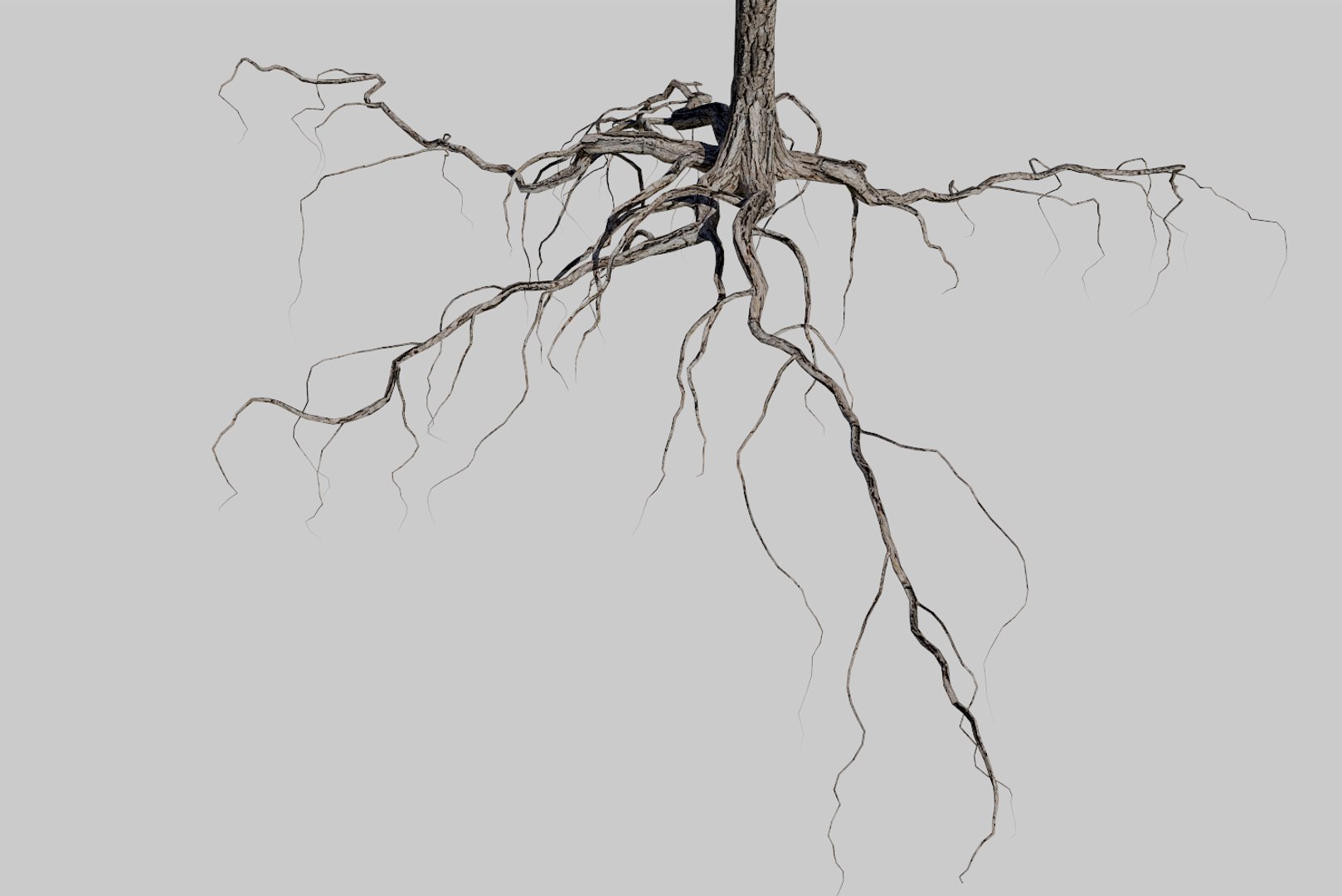 pine tree 4 model https://p.turbosquid.com/ts-thumb/z8/bvxjOy/dCZLeGJ3/render6/png/1545142134/1920x1080/fit_q87/08852014923c9344731c3f1e946638d1e4a70fd9/render6.jpg