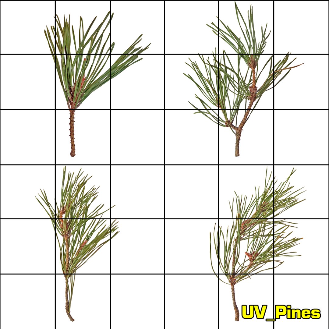 pine tree 4 model https://p.turbosquid.com/ts-thumb/z8/bvxjOy/lHLOLjdn/uv_pines/png/1547187783/1920x1080/fit_q87/f746b364f866d355a5f4a00da2c1919a1202bd58/uv_pines.jpg