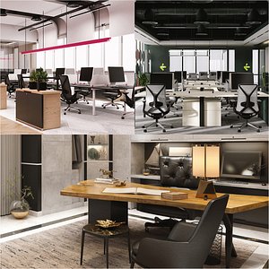 Office Interiors 3D model