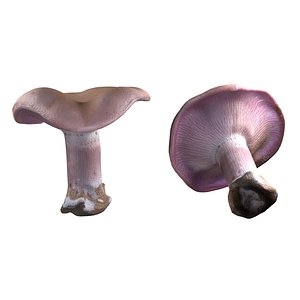 3D Mushroom 5