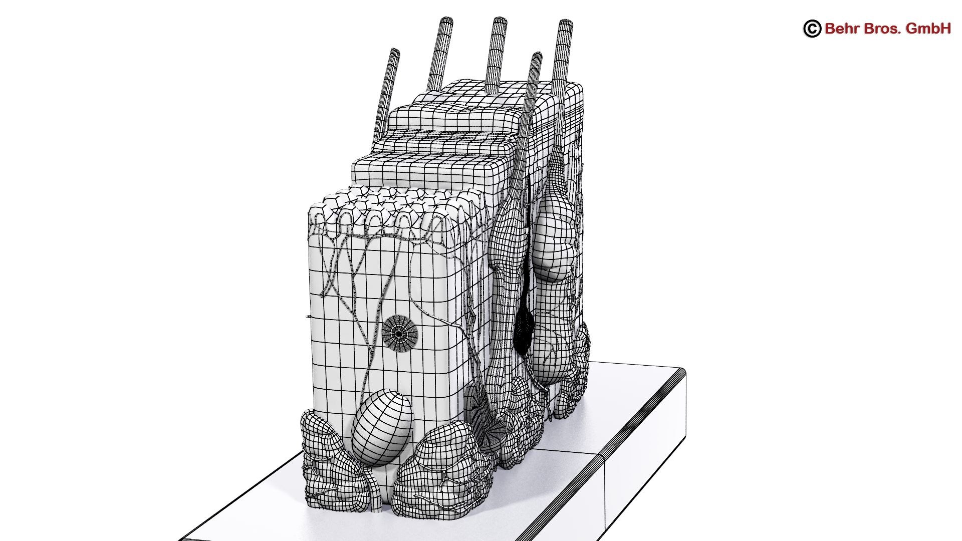 skin section hairs max https://p.turbosquid.com/ts-thumb/z8/qSKiQy/ZfH34vvJ/skin_and_hair_wireframe_copyright_03/jpg/1400686413/1920x1080/fit_q87/6b855e34ca0762df0ddb60783e746ae534e64437/skin_and_hair_wireframe_copyright_03.jpg